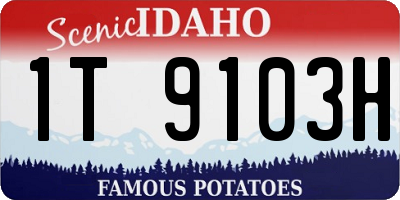 ID license plate 1T9103H
