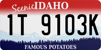 ID license plate 1T9103K