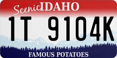 ID license plate 1T9104K