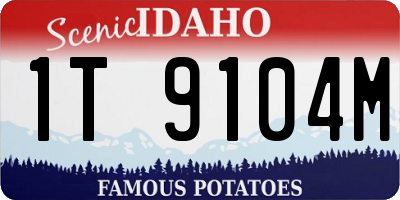 ID license plate 1T9104M