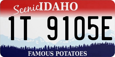 ID license plate 1T9105E
