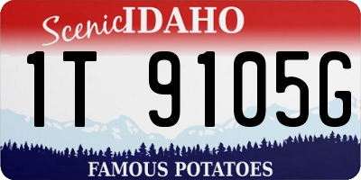 ID license plate 1T9105G
