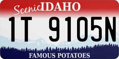 ID license plate 1T9105N