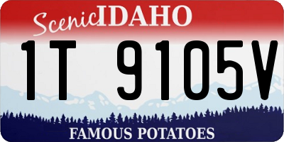 ID license plate 1T9105V