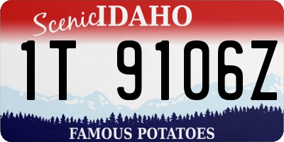 ID license plate 1T9106Z