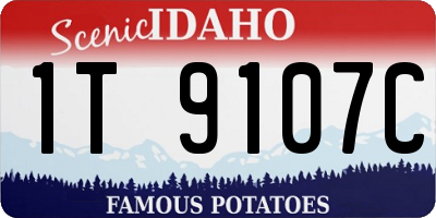 ID license plate 1T9107C