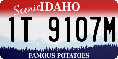 ID license plate 1T9107M