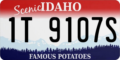 ID license plate 1T9107S