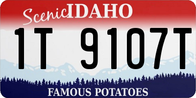 ID license plate 1T9107T