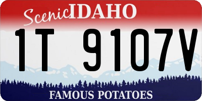 ID license plate 1T9107V