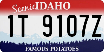 ID license plate 1T9107Z