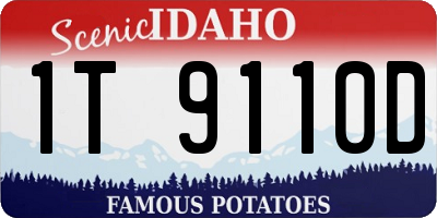 ID license plate 1T9110D