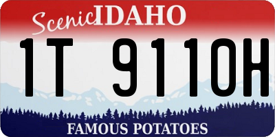 ID license plate 1T9110H