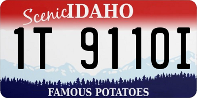 ID license plate 1T9110I