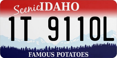 ID license plate 1T9110L