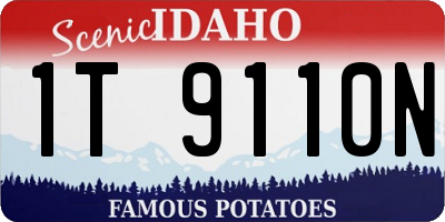 ID license plate 1T9110N
