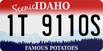 ID license plate 1T9110S