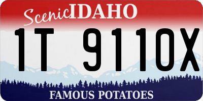 ID license plate 1T9110X