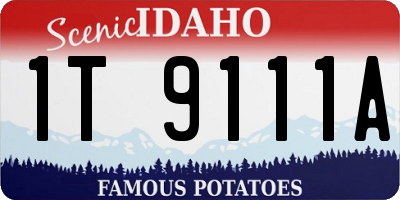 ID license plate 1T9111A