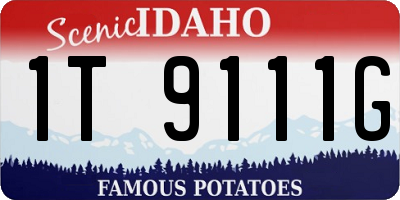 ID license plate 1T9111G