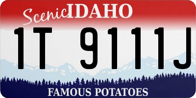 ID license plate 1T9111J