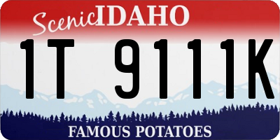 ID license plate 1T9111K