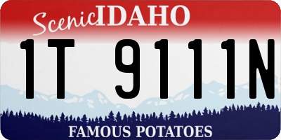 ID license plate 1T9111N