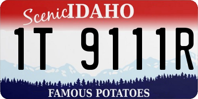 ID license plate 1T9111R