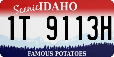 ID license plate 1T9113H