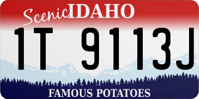 ID license plate 1T9113J