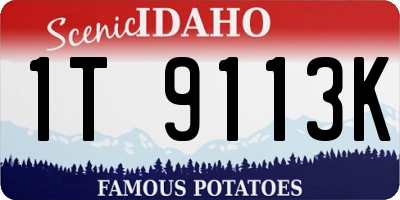 ID license plate 1T9113K