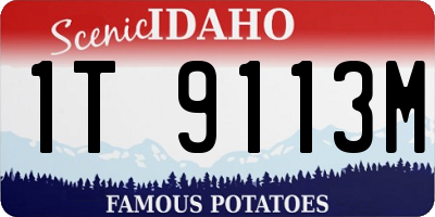 ID license plate 1T9113M