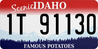 ID license plate 1T9113O