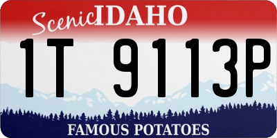 ID license plate 1T9113P