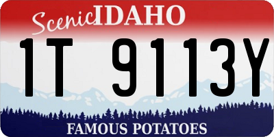 ID license plate 1T9113Y