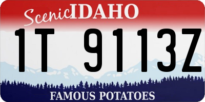 ID license plate 1T9113Z