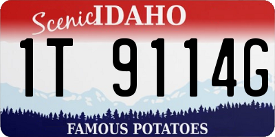 ID license plate 1T9114G