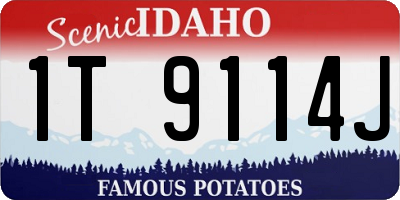 ID license plate 1T9114J