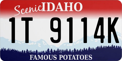 ID license plate 1T9114K