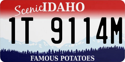 ID license plate 1T9114M