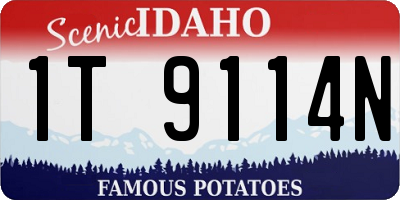 ID license plate 1T9114N