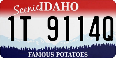 ID license plate 1T9114Q