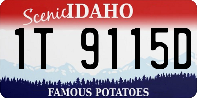 ID license plate 1T9115D