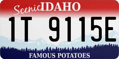 ID license plate 1T9115E