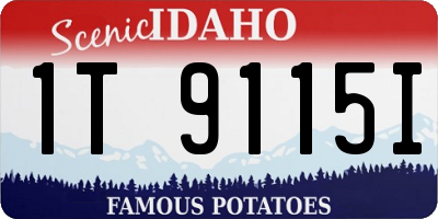 ID license plate 1T9115I