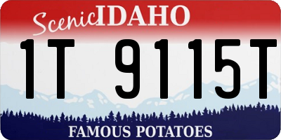 ID license plate 1T9115T