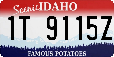 ID license plate 1T9115Z