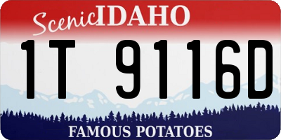 ID license plate 1T9116D