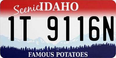 ID license plate 1T9116N
