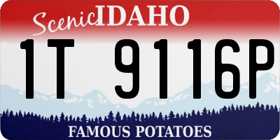 ID license plate 1T9116P